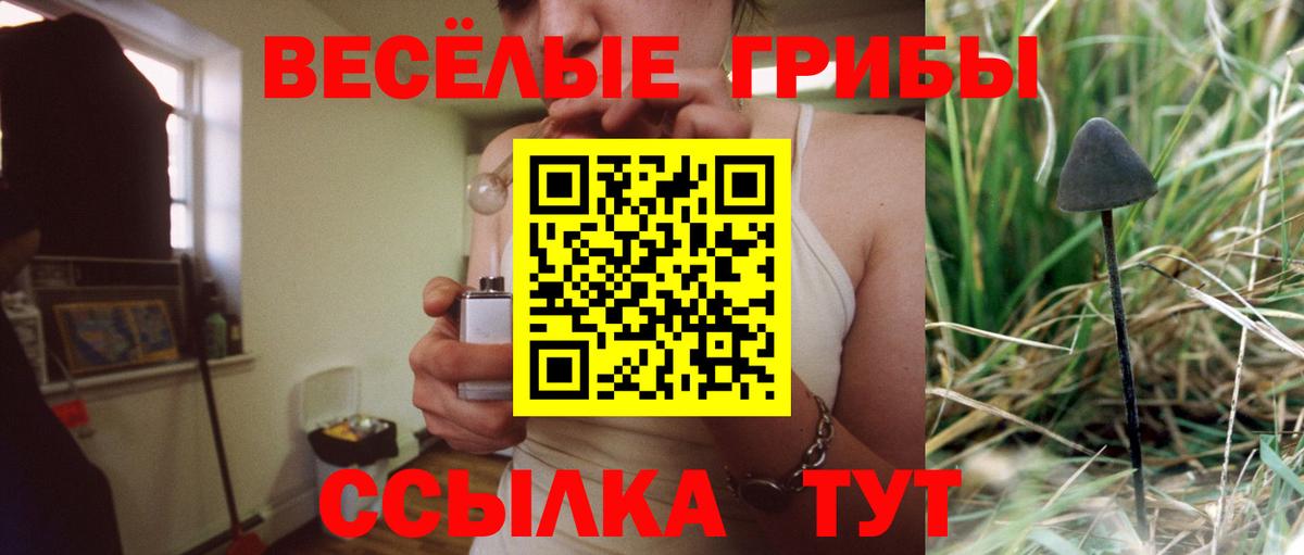 Сердобск  закладка  Вход с VPN  Псилоцибиновые грибы Psilocybe 